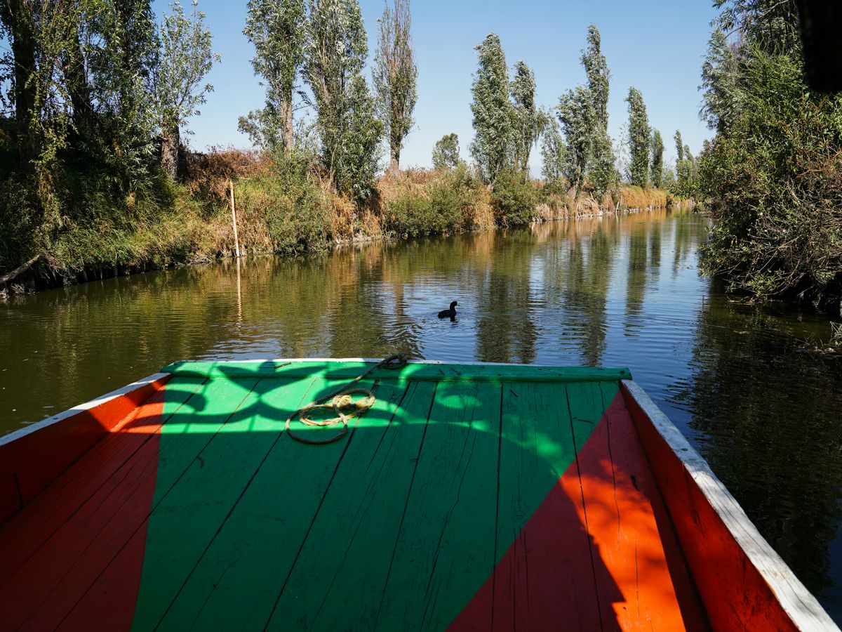 El lago oculto en Ciudad de México al que los turistas todavía no llegan