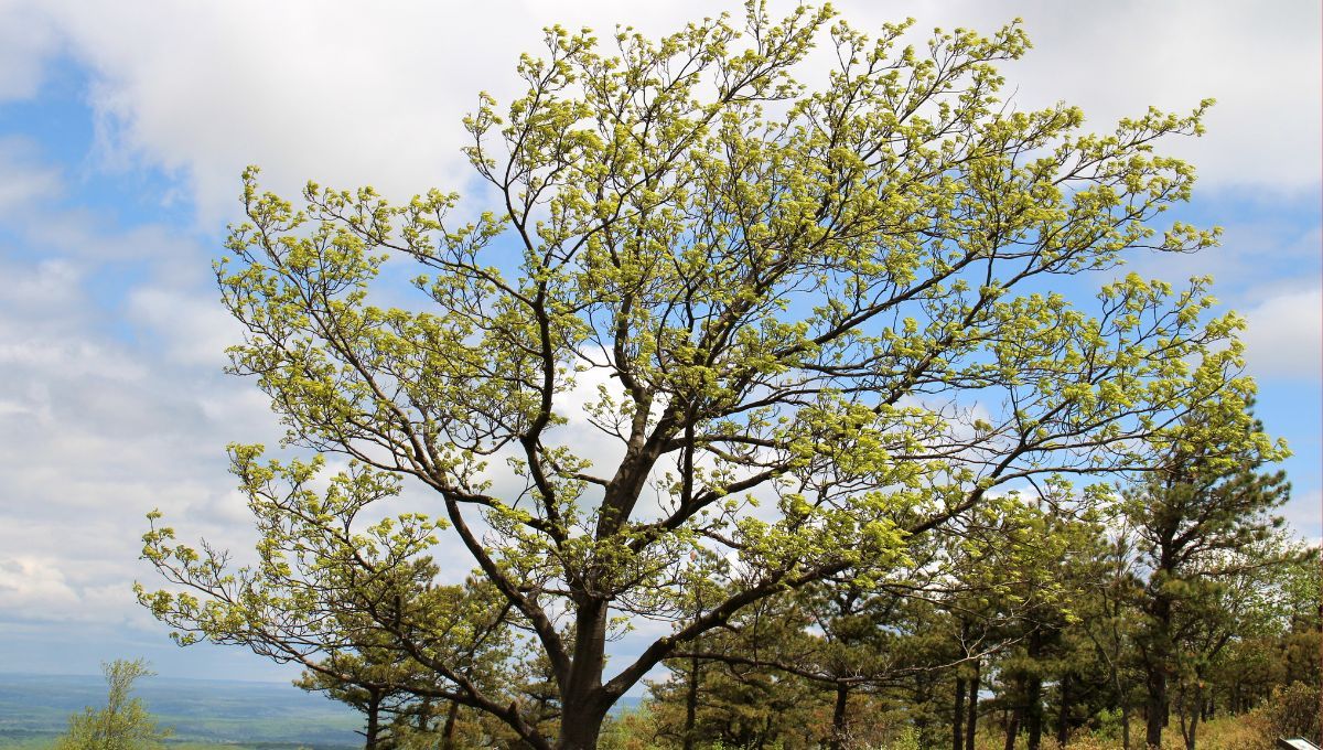 Toma las medidas necesarias para evitar daños Toma las medidas necesarias para evitar daños