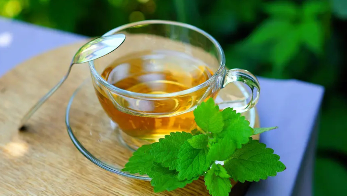 Por qué tomar té de menta: estos son los beneficios según los médicos