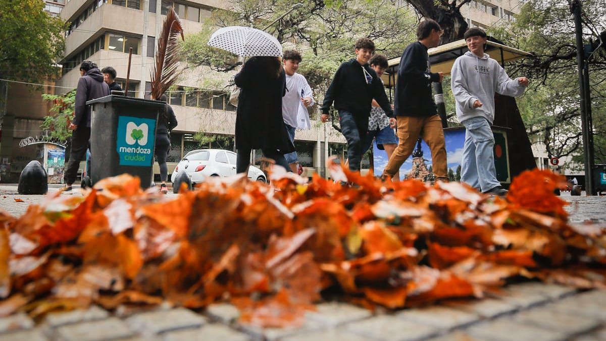 La semana terminará con el ingreso de un frente frío y las máximas no superarán los 13º. Se empezará a hacer sentir el invierno.