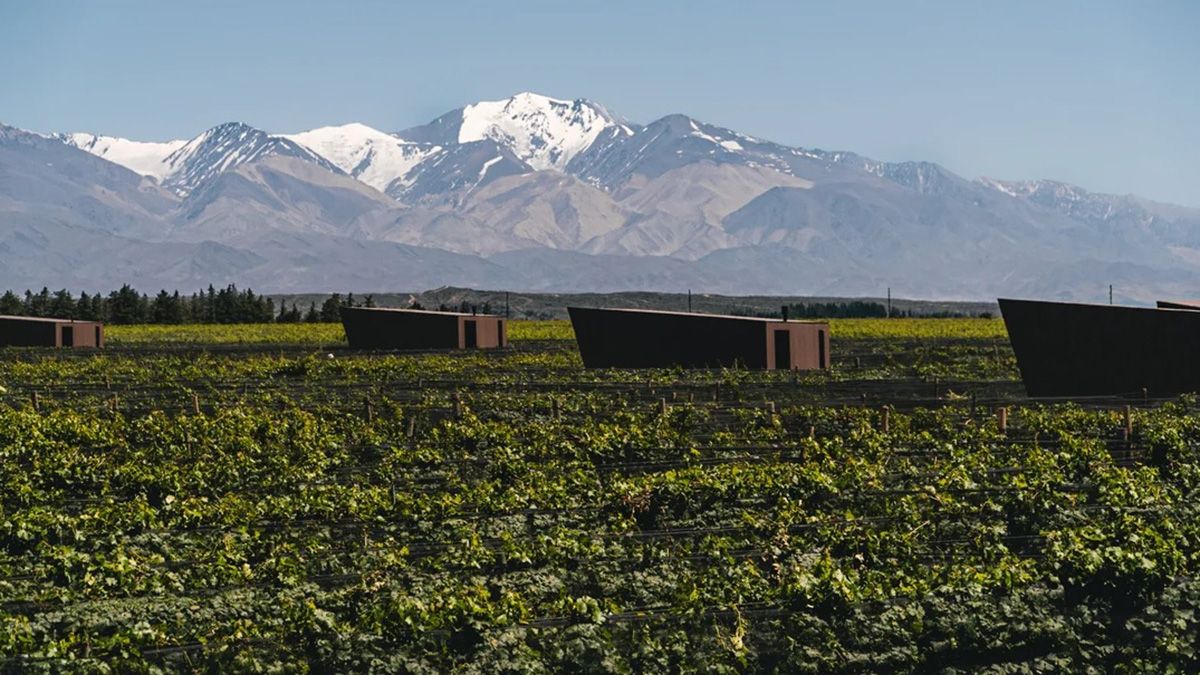 La Bodega Andeluna, situada en Tupungato, ofrece una maravillosa vista de la Cordillera de los Andes La Bodega Andeluna, situada en Tupungato, ofrece una maravillosa vista de la Cordillera de los Andes