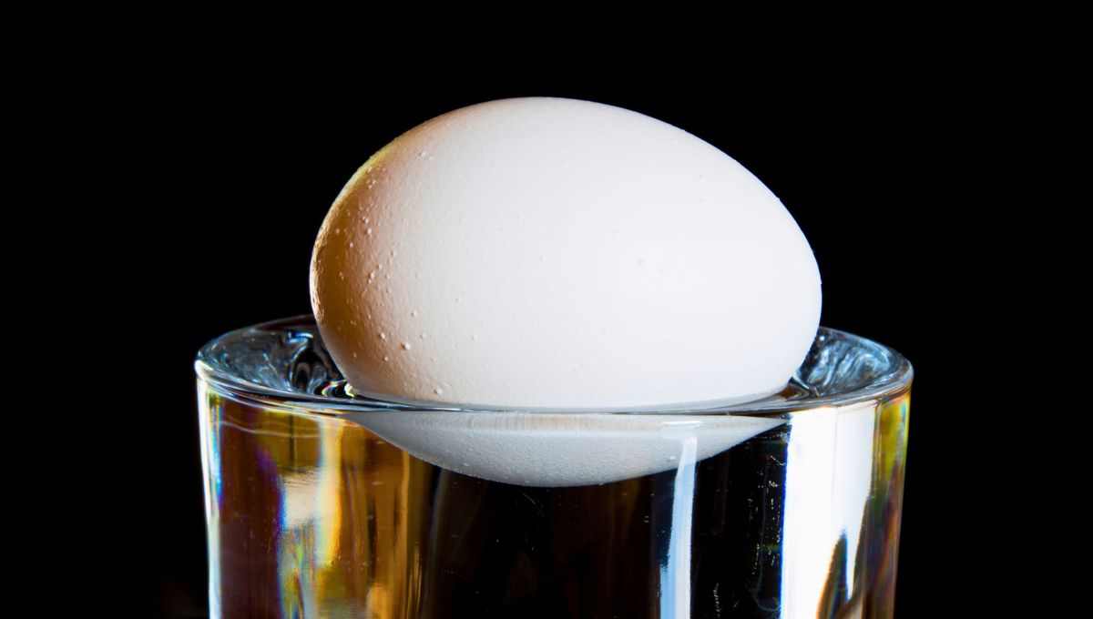 La edad del huevo influye directamente en la calidad de sus nutrientes.&nbsp;