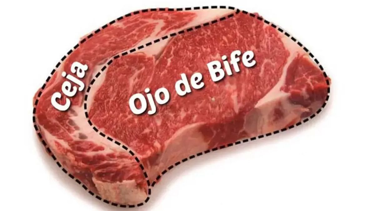 La ceja o pestaña de ojo de bife. La ceja o pestaña de ojo de bife.