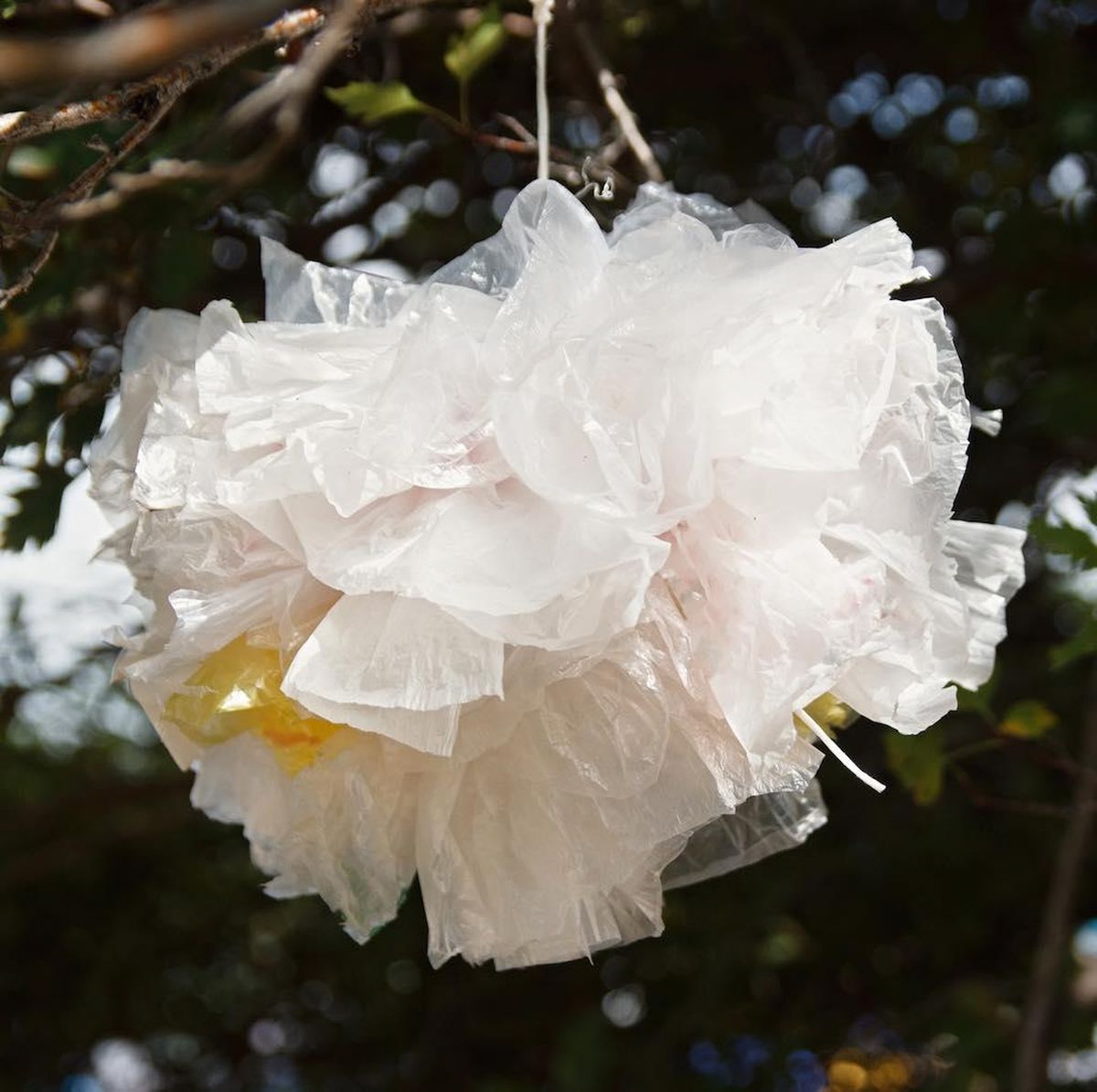 Como idea decorativa, las bolsas de plástico también sirven. Como idea decorativa, las bolsas de plástico también sirven.