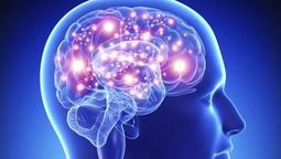 La actividad clave para cuidar el cerebro y mejorar la memoria&nbsp;