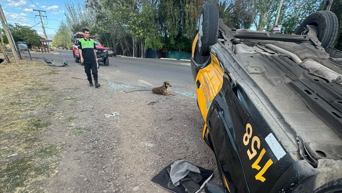 El taxi volcado luego del accidente en el que también participó el conductor de un Renault Clio. Esta vez, el perro no se cruzó.