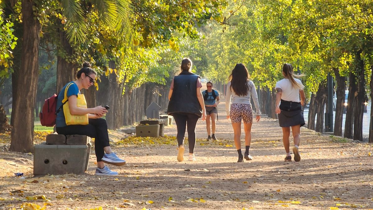 Pronóstico del tiempo en Mendoza: este domingo estará agradable pero se viene el Zonda