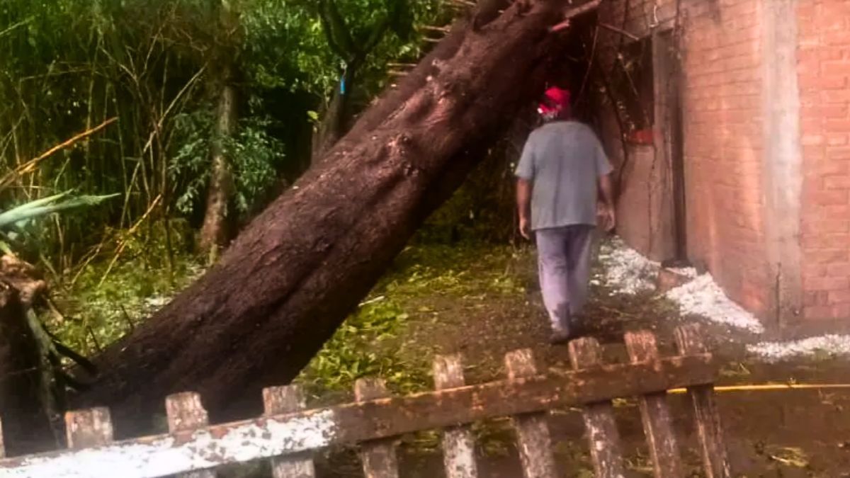 Granizo y vientos de hasta 113 km/h en San Rafael provocaron más de 50 intervenciones de Defensa Civil