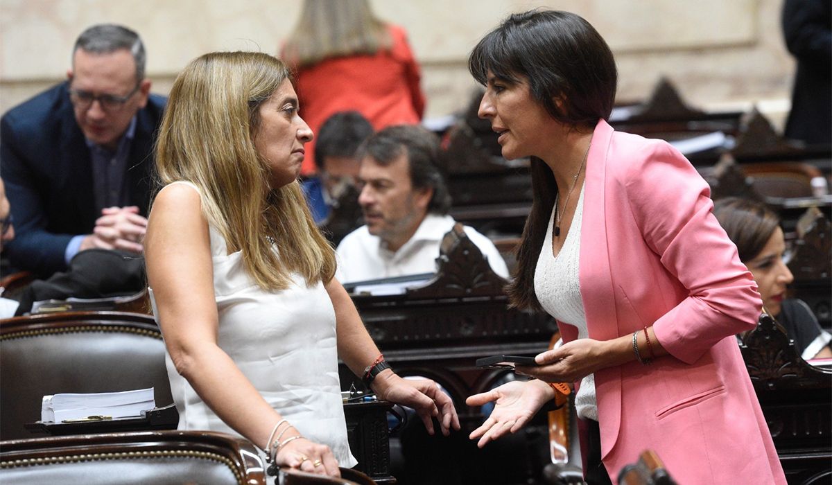 Pamela Verasay durante el tratamiento de la Ley Ómnibus en el Congreso. Este viernes será la Apertura de Sesiones Ordinarias.