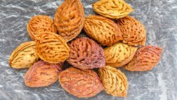 Quien tenga carozos de durazno tienes un tesoro en tus manos: por qué hay que guardarlos Quien tenga carozos de durazno tienes un tesoro en tus manos: por qué hay que guardarlos