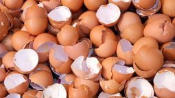 Las cáscaras de huevo pueden ser reutilizadas con estos trucos caseros.