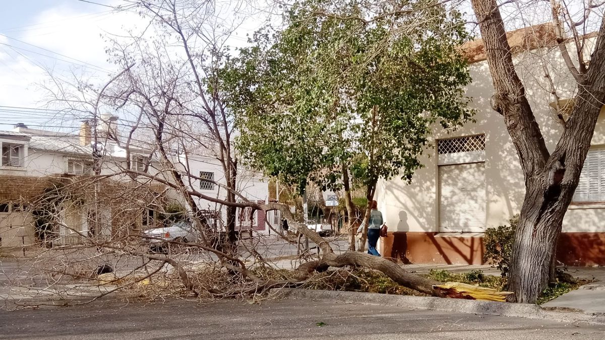 Emitieron alerta naranja de viento Zonda para todo el lunes en Mendoza