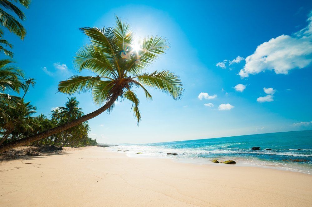 ¿Cuáles son los destinos más elegidos por los rosarinos para las vacaciones de julio?