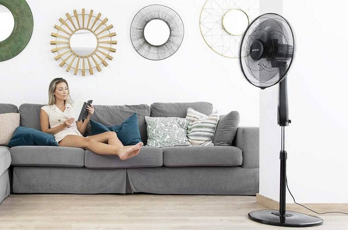 Truco de limpieza: cómo limpiar el ventilador de piso en pocos minutos y dejarlo impecable Truco de limpieza: cómo limpiar el ventilador de piso en pocos minutos y dejarlo impecable