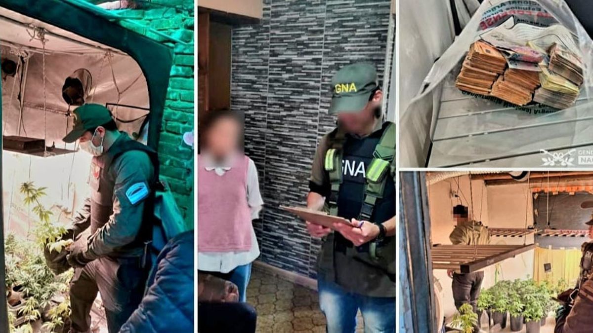 Tres mujeres y cinco hombres quedaron detenidos tras los allanamientos realizados por Gendarmería Nacional por narcotráfico.&nbsp;