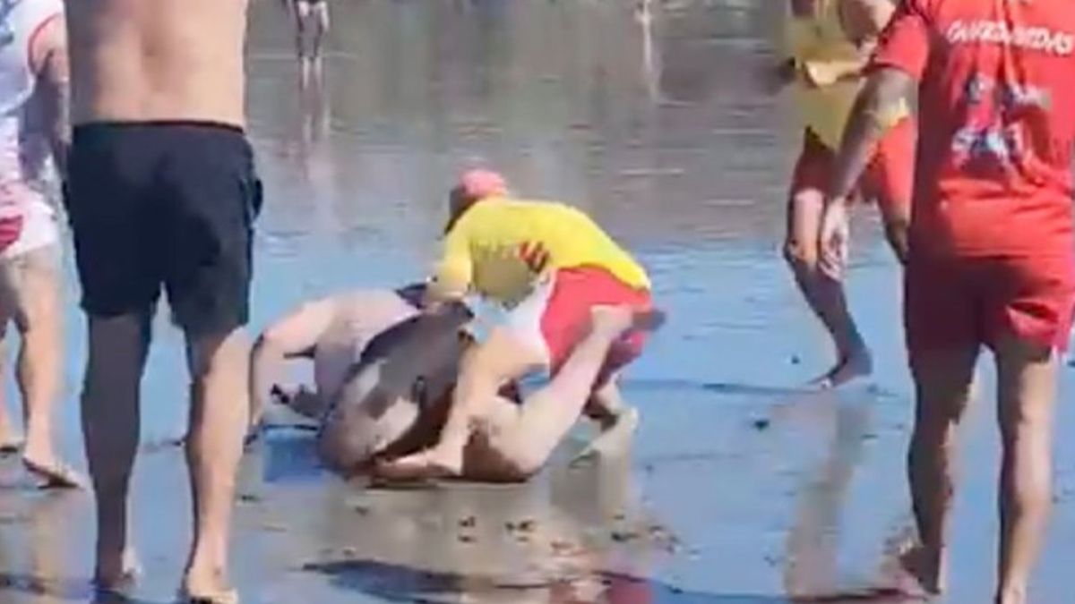 Pelea en la playa: uno de los guardavidas empujó con fuerza al turista que cayó en la arena en una repudiable acción Pelea en la playa: uno de los guardavidas empujó con fuerza al turista que cayó en la arena en una repudiable acción
