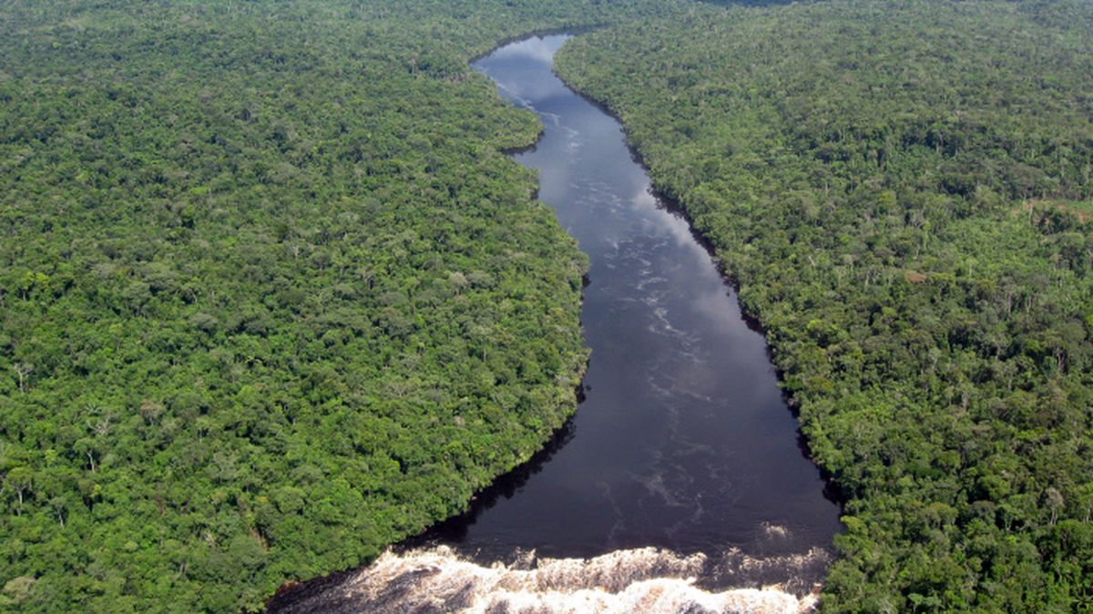 En África o en América del Sur: en este continente está el río más grande del mundo