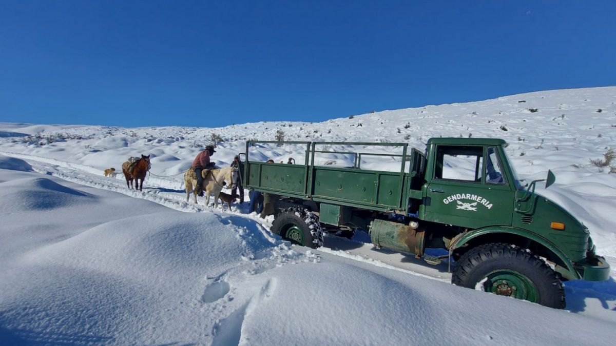 Los camiones 4x4 de Gendarmería Nacional permitieron asistir a puesteros aislados en la zona de Malargüe. Los camiones 4x4 de Gendarmería Nacional permitieron asistir a puesteros aislados en la zona de Malargüe.