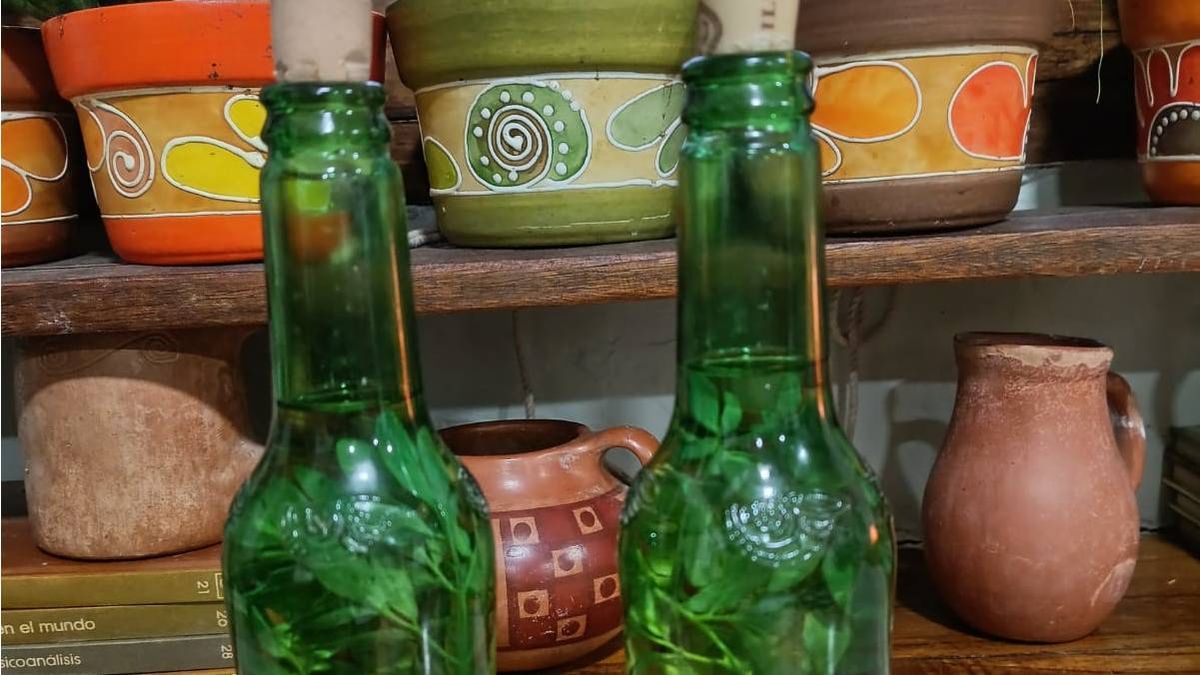 Cristina Lattanzio preparó como todos los años sus botellas de caña y ruda este primer día de agosto. Cristina Lattanzio preparó como todos los años sus botellas de caña y ruda este primer día de agosto.