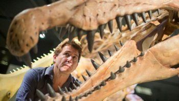 Descubrieron restos de un dinosaurio que sabía nadar