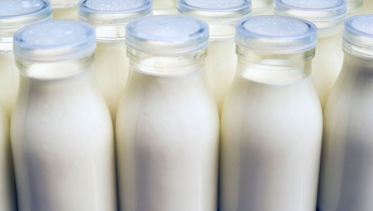 Si no lo lograste, tranquilo. Te decimos la respuesta a continuación. Si no lo lograste, tranquilo. Te decimos la respuesta a continuación.