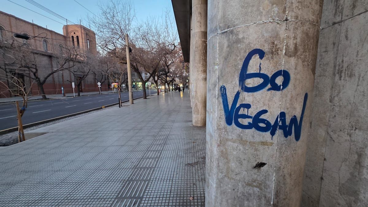 Veganos... y mugrientos. Las columnas de la Universidad de Congreso ya no aguantan un grafiti más. Veganos... y mugrientos. Las columnas de la Universidad de Congreso ya no aguantan un grafiti más.
