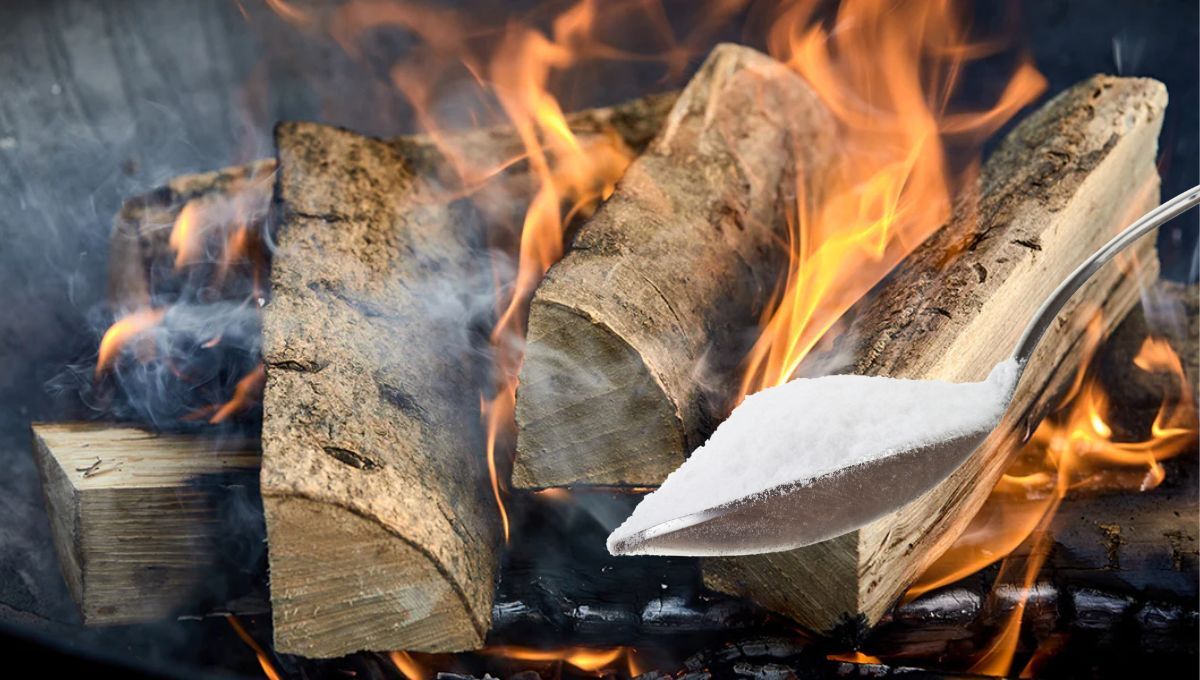 Por qué hay que ponerle bicarbonato a la leña del asado: para qué sirve y cuáles son los beneficios