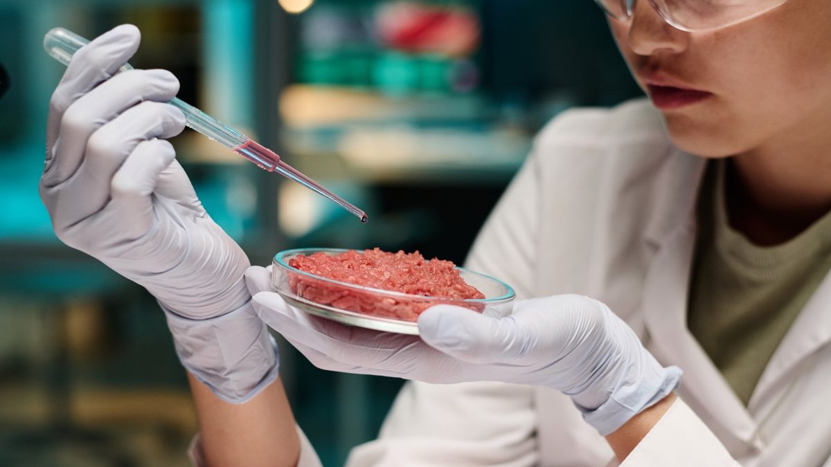 La carne creada en laboratorio puede ser el futuro de la alimentación. La carne creada en laboratorio puede ser el futuro de la alimentación.