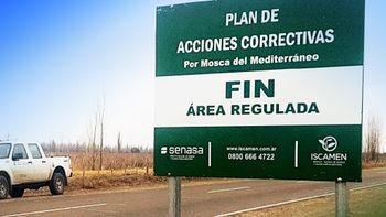 Endurecen los controles por la mosca de los frutos tras la nueva resolución de Senasa Endurecen los controles por la mosca de los frutos tras la nueva resolución de Senasa