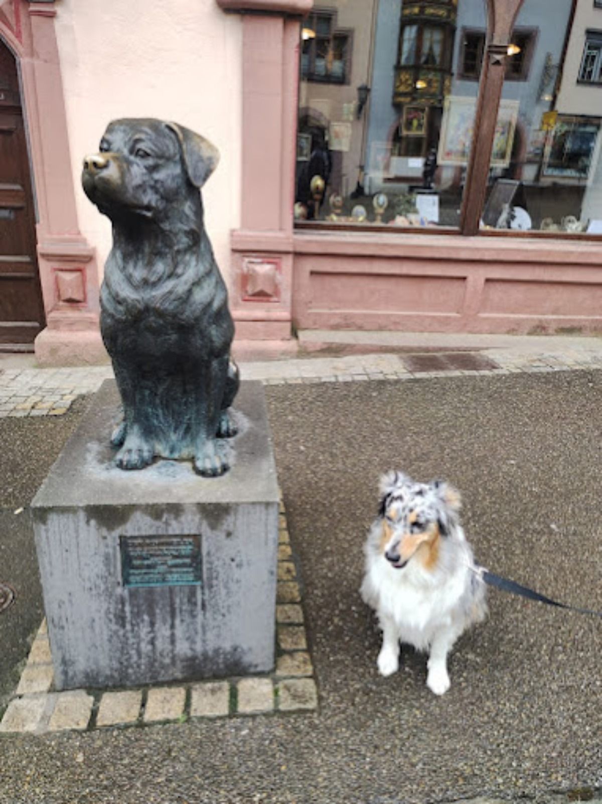 Una estatua alusiva en la ciudad de Rottweil (Alemania). Al lado, un ejemplar de otra raza. Foto: Andrea Ferro. Una estatua alusiva en la ciudad de Rottweil (Alemania). Al lado, un ejemplar de otra raza. Foto: Andrea Ferro.