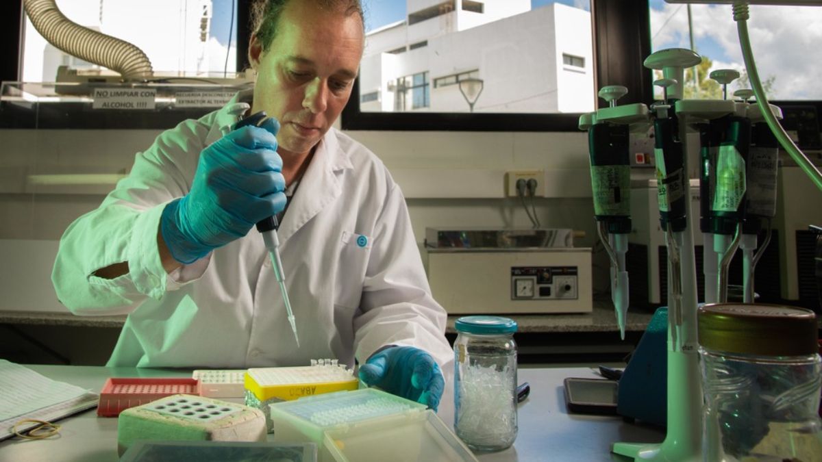 Científicos crearon insecticidas amigables con el ambiente