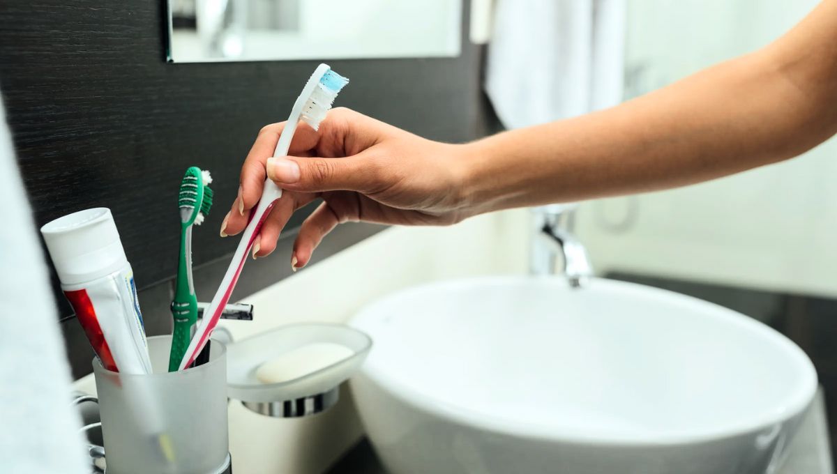 El cepillo de dientes acumula múltiples bacterías y hongos