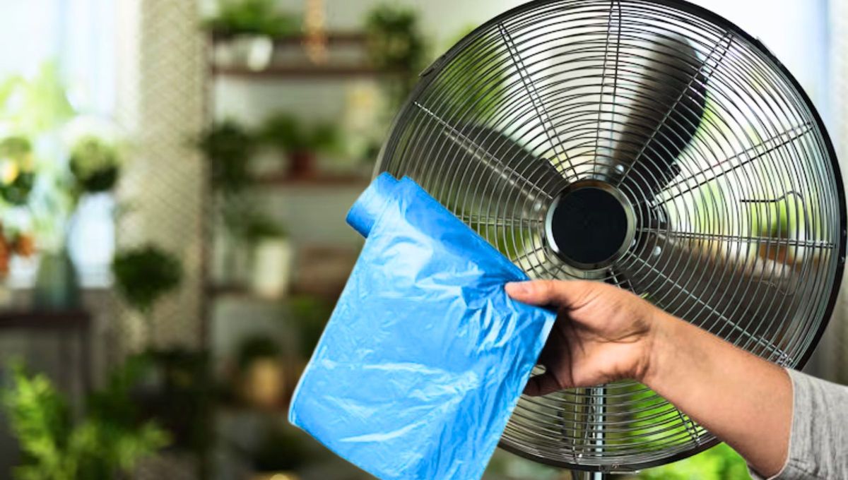 Cómo limpiar el ventilador de casa usando una bolsa de plástico: truco casero efectivo