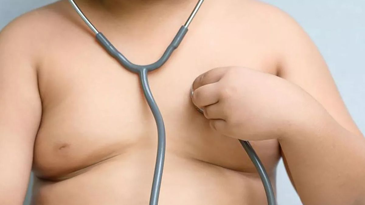 Los especialistas afirmaron que la obesidad es una enfermedad, y pidieron políticas públicas para frenar y revertir su desarrollo Los especialistas afirmaron que la obesidad es una enfermedad, y pidieron políticas públicas para frenar y revertir su desarrollo