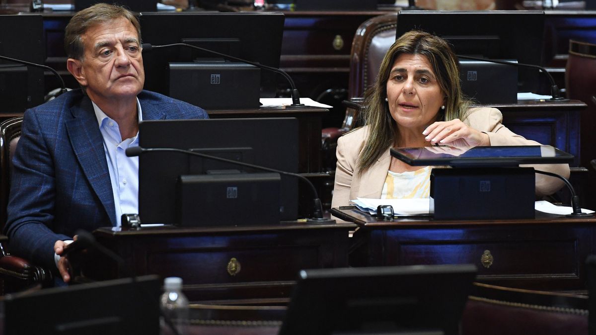 Los radicales Rodolfo Suarez y Mariana Juri se abstuvieron de votar este jueves en contra del veto de Milei a los ATN.