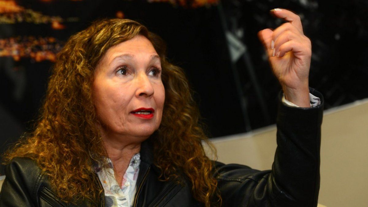 Patricia Fadel, representa al PJ en el Consejo Económico, Ambiental y Social y aseguró que la consulta sobre el debate de la Reforma constitucional es caprichosa y antidemocrática.