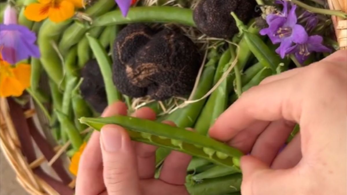 (Foto: Instagram de @maurocolagreco) (Foto: Instagram de @maurocolagreco)