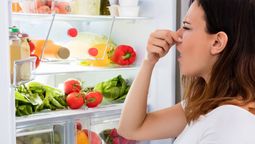 Dile adiós al mal olor de tu heladera con estos efectivos trucos caseros