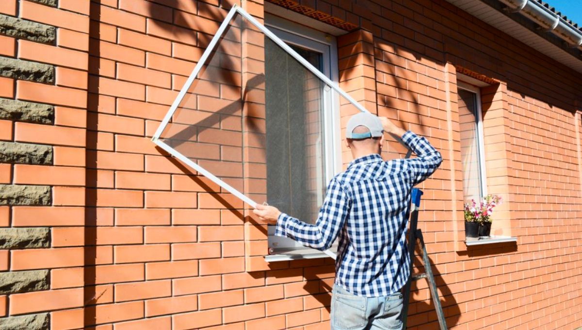 La tela mosquitera en los hogares comienza a ser algo del pasado