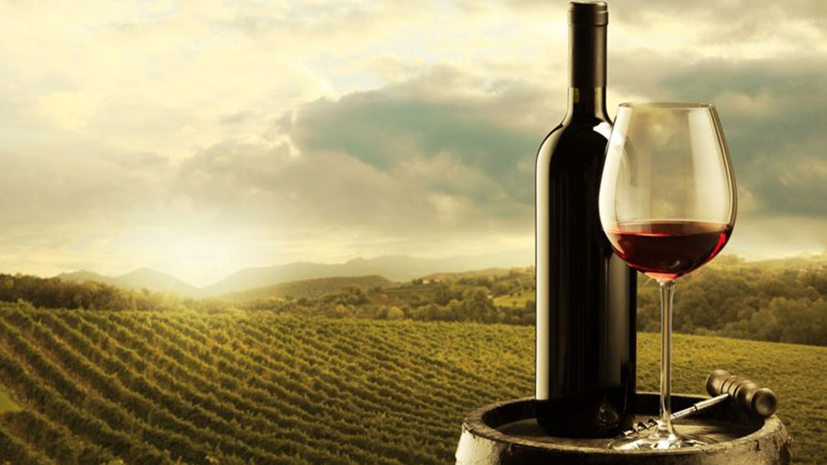 Por qué hoy se celebra el Día Mundial del Malbec