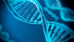 Una máquina molecular avanza para corregir defectos genéticos