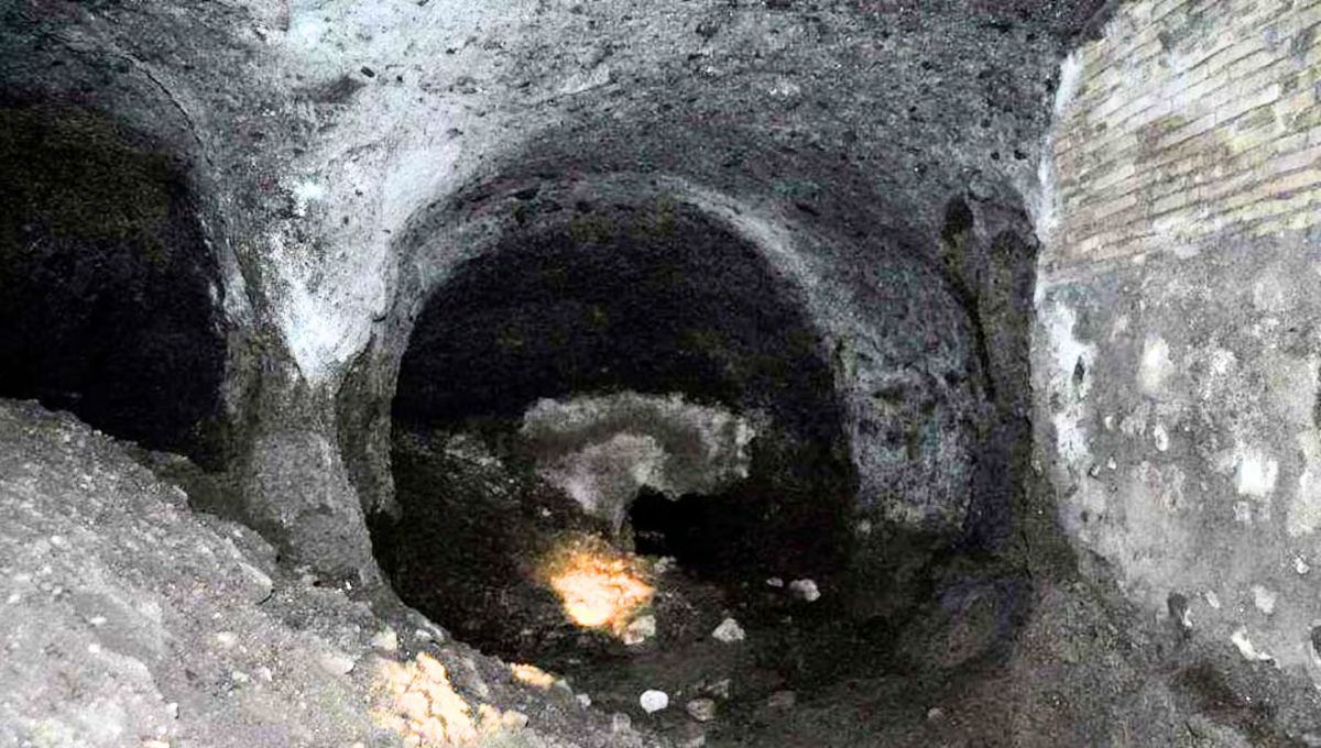 Este descubrimiento fue realizado de manera accidental