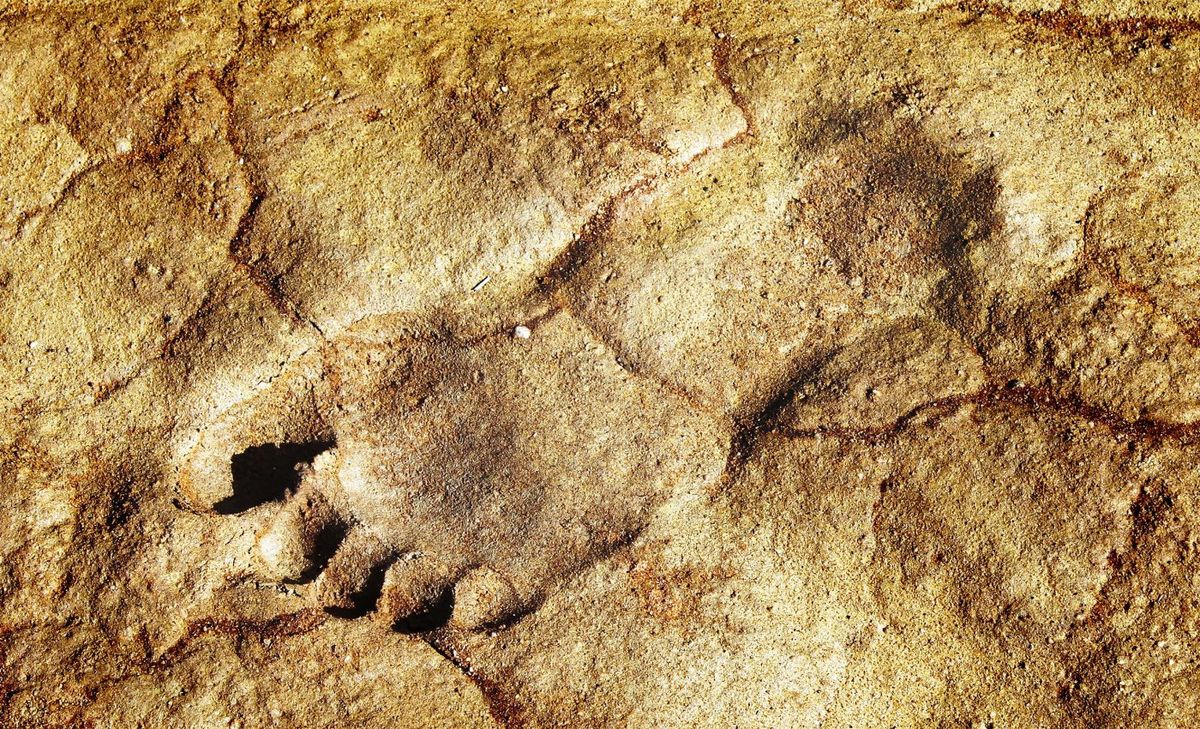 Las huellas descubiertas no tenían razón de existir para la historia.