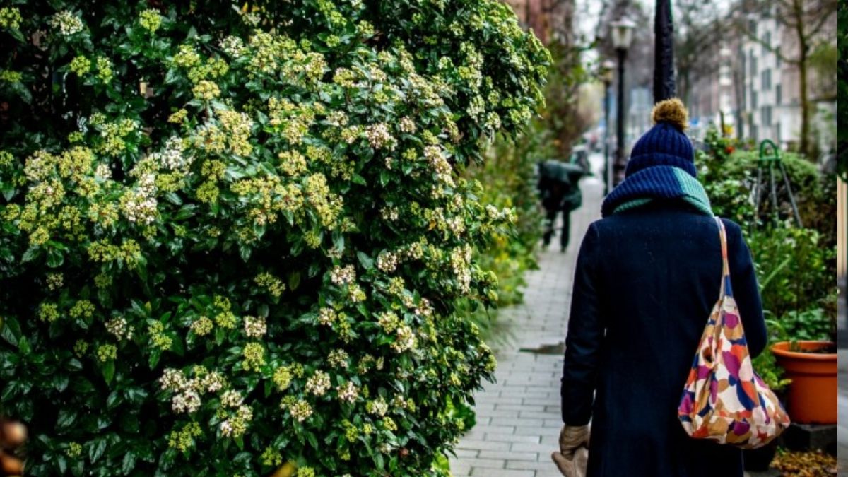 Foto: Unsplash Foto: Unsplash