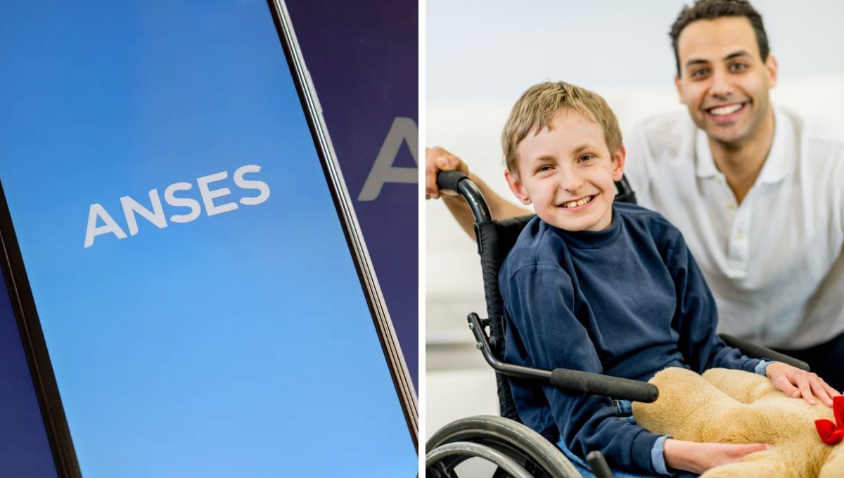 Conocé los nuevos montos de AUH por hijo con discapacidad para noviembre Conocé los nuevos montos de AUH por hijo con discapacidad para noviembre