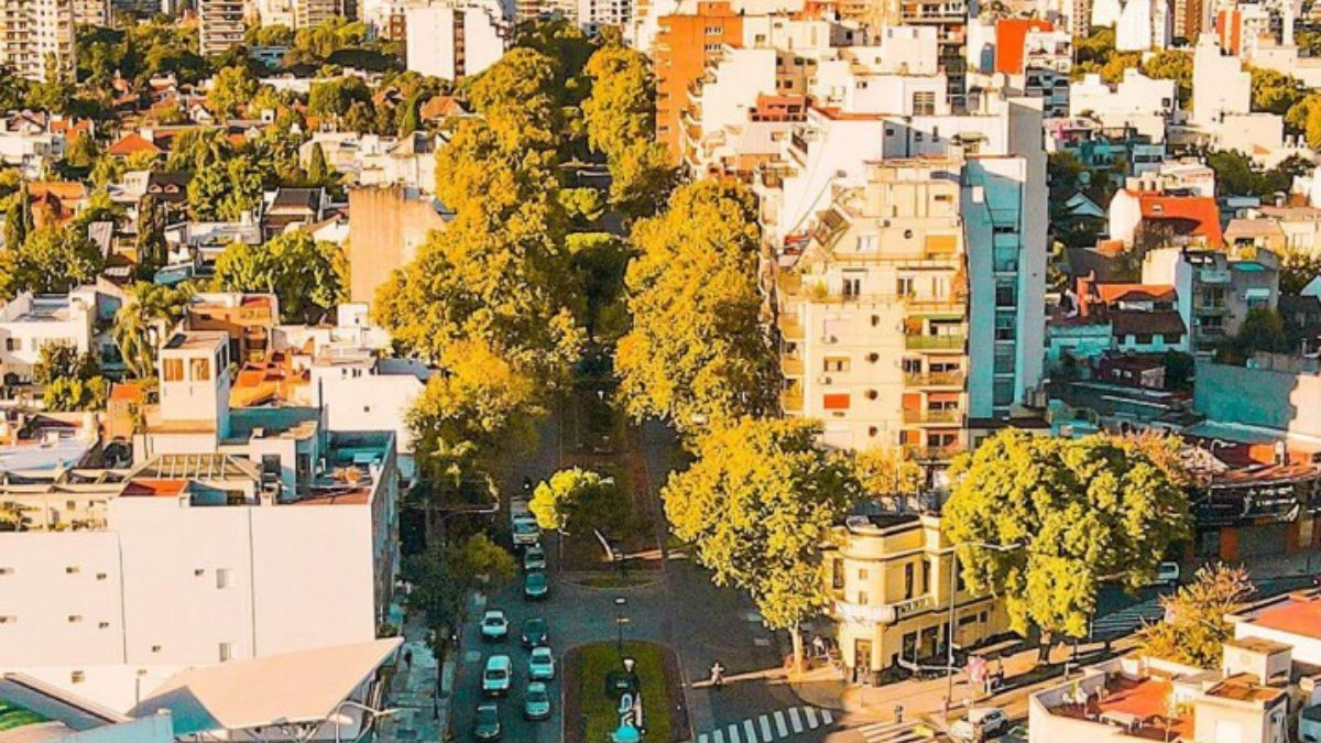 "Debemos tener coraje y romper veredas. Tenemos que plantar todo lo posible", dijo Marcelo Tenaglia (Foto: Gobierno de CABA) "Debemos tener coraje y romper veredas. Tenemos que plantar todo lo posible", dijo Marcelo Tenaglia (Foto: Gobierno de CABA)