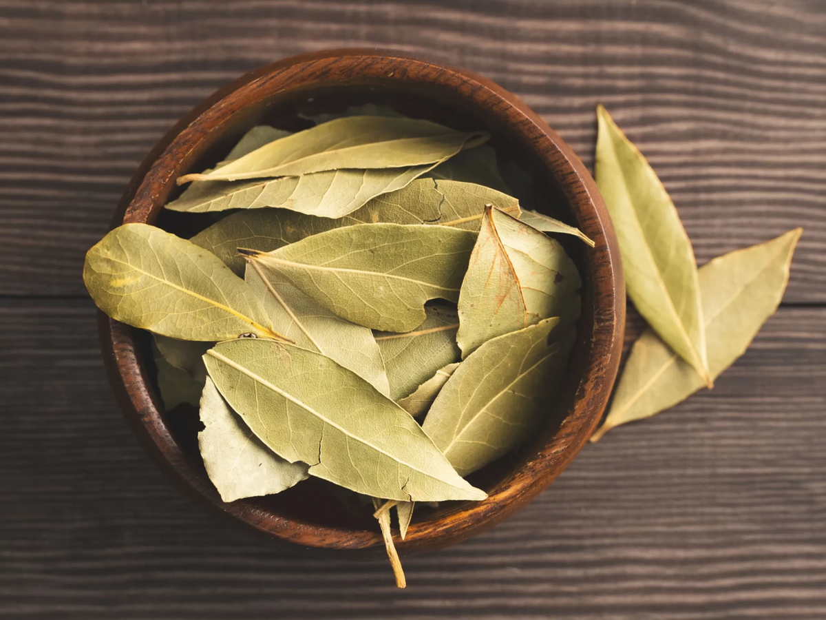 Lavar la ropa con laurel: por qué recomiendan hacerlo y para qué sirve Lavar la ropa con laurel: por qué recomiendan hacerlo y para qué sirve