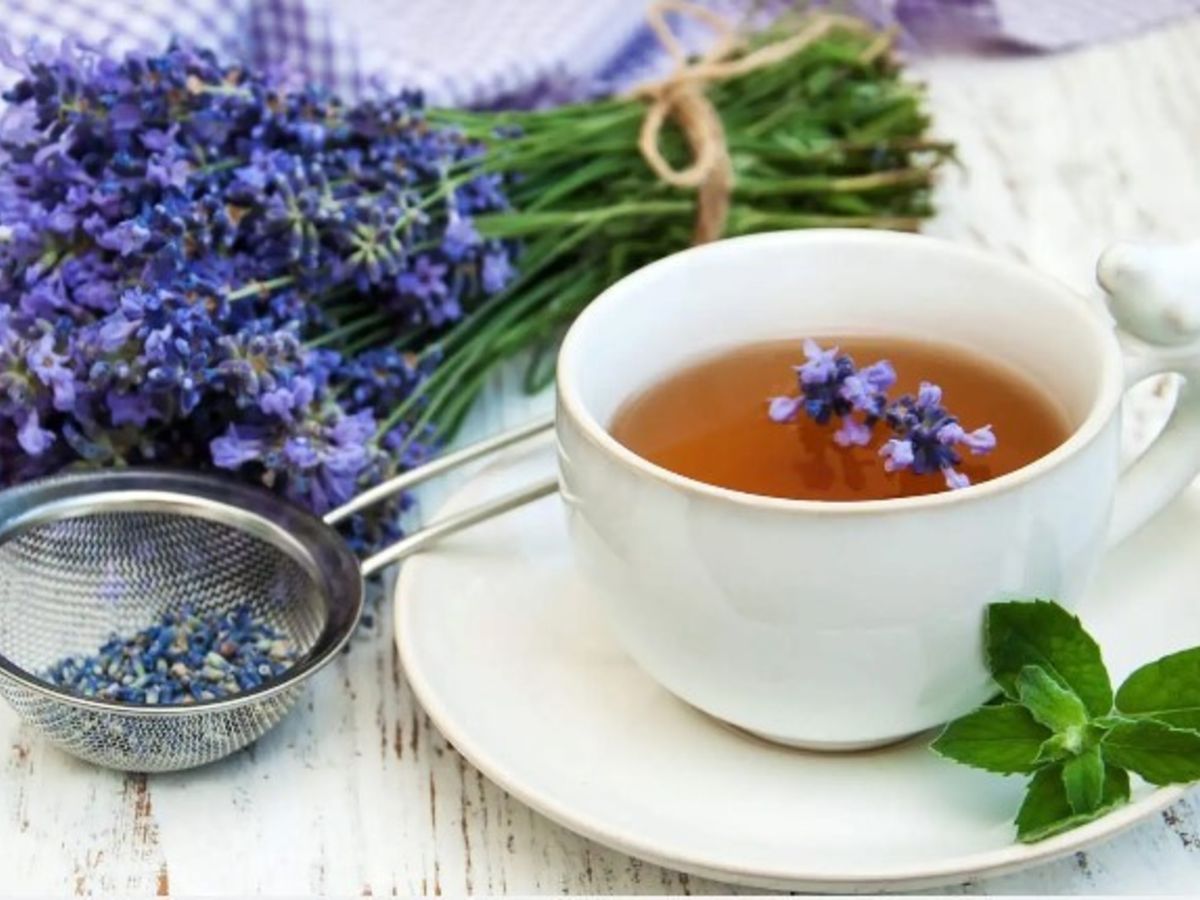 Dile adiós al té de tilo: la infusión que ayuda a dormir mejor y reduce la ansiedad Dile adiós al té de tilo: la infusión que ayuda a dormir mejor y reduce la ansiedad