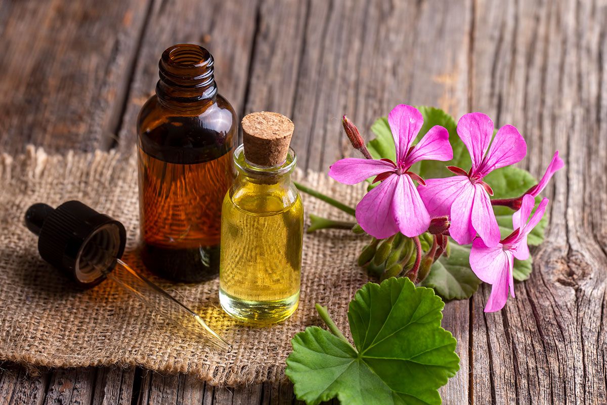 El aceite de geranio tiene muchísimas propiedades.