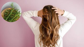 Cómo usar la planta de romero para eliminar la caspa y fortalecer el cabello Cómo usar la planta de romero para eliminar la caspa y fortalecer el cabello